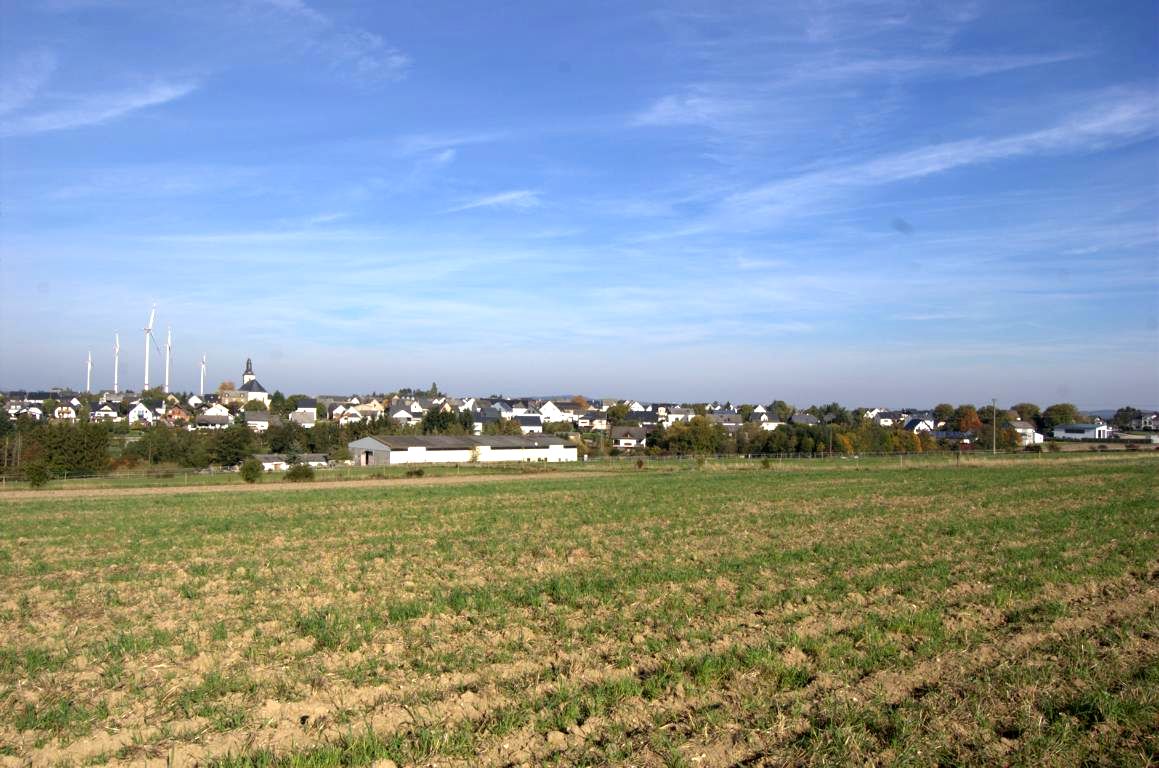 Geierlay-Hängeseilbrücke