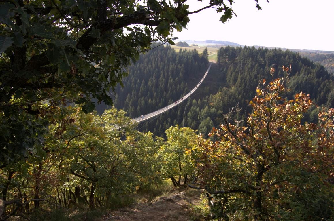 Geierlay-Hängeseilbrücke