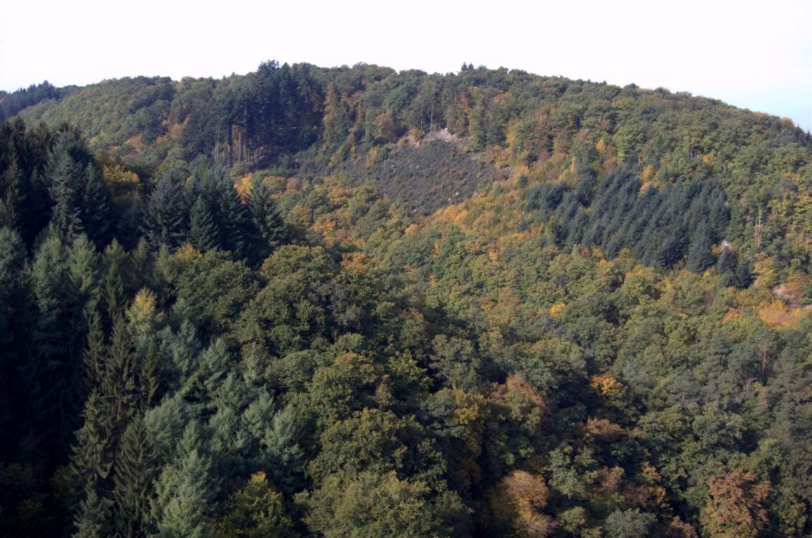 Geierlay-Hängeseilbrücke