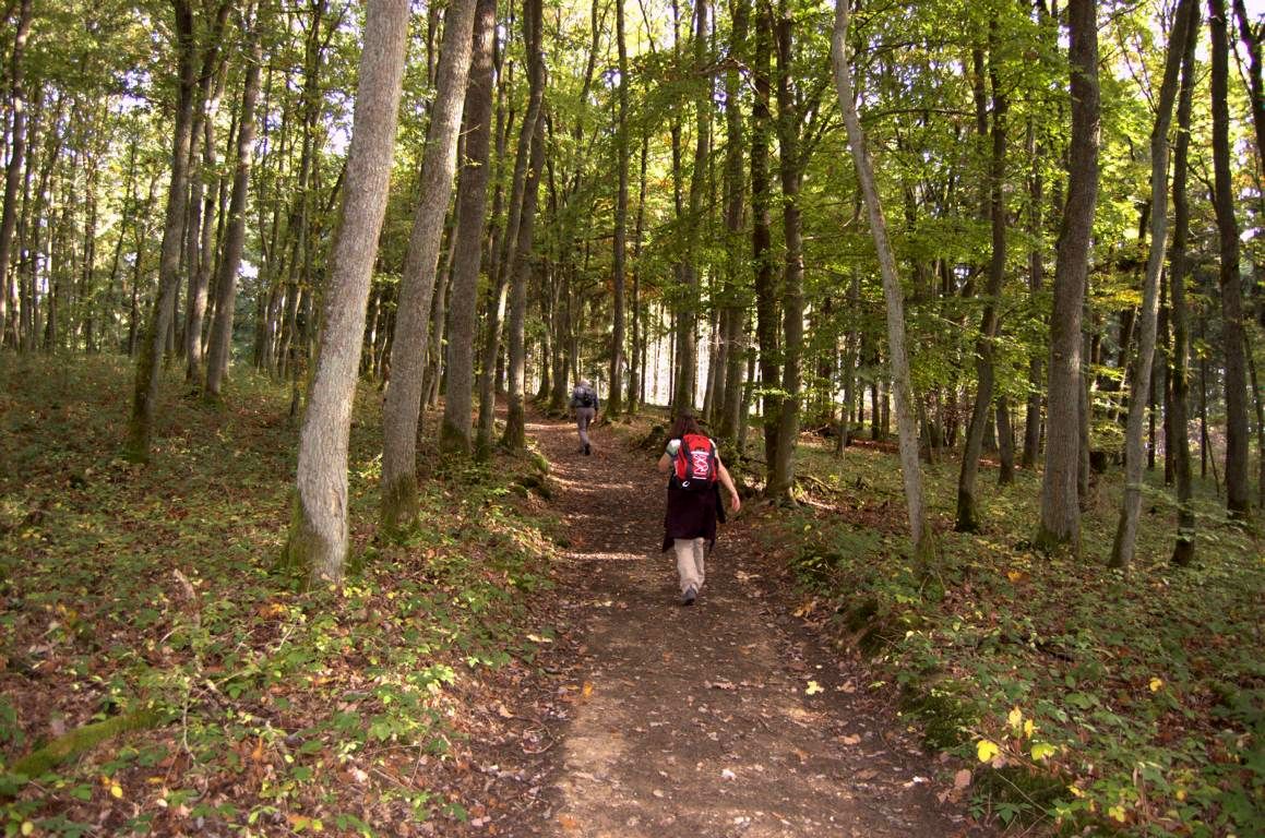 Mittelalterpfad Mittelalterpfad