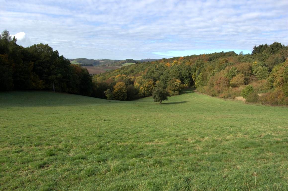 Mittelalterpfad Mittelalterpfad
