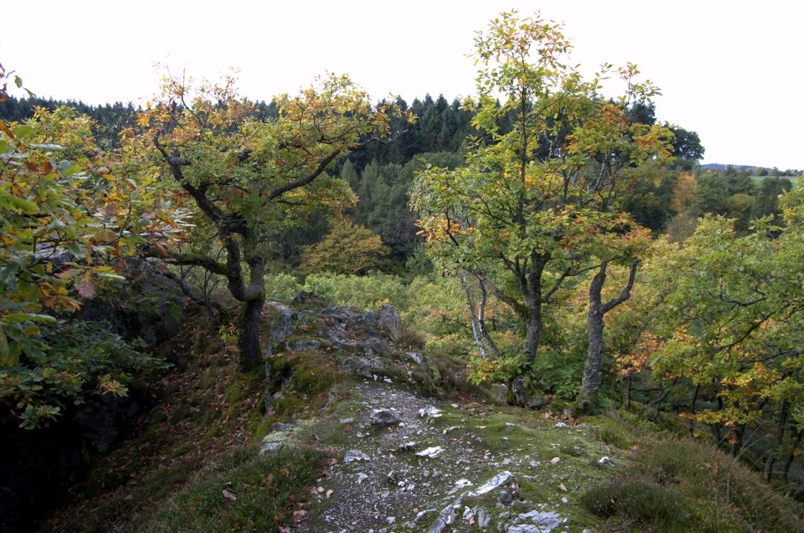 Mittelalterpfad Mittelalterpfad