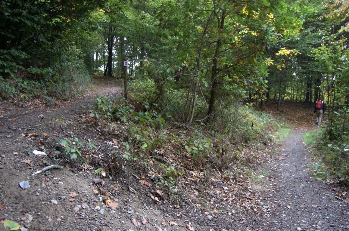 Mittelalterpfad Mittelalterpfad