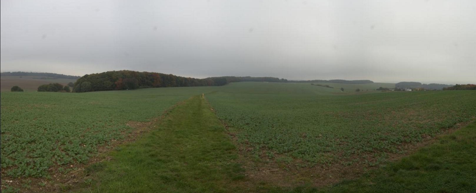 Stumm-Orgel-Weg