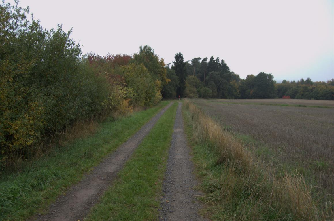 Stumm-Orgel-Weg