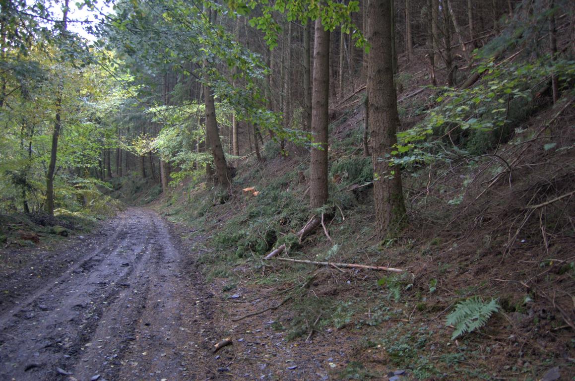 Stumm-Orgel-Weg Stumm-Orgel-Weg