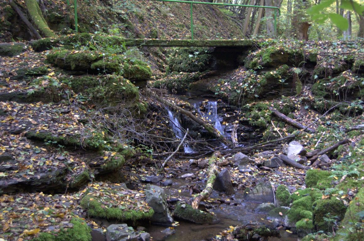 Trübebachtalpfad Trübebachtalpfad