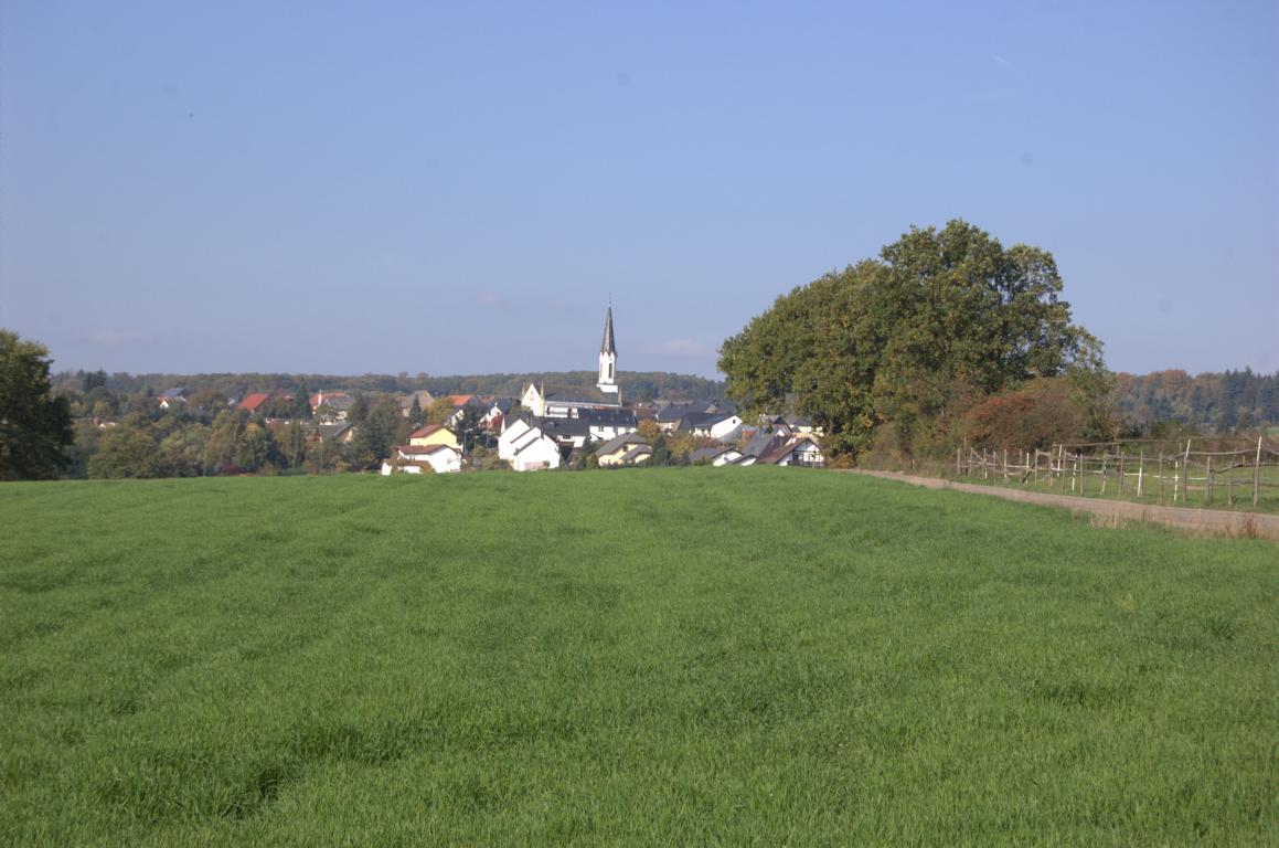 Trübebachtalpfad Trübebachtalpfad