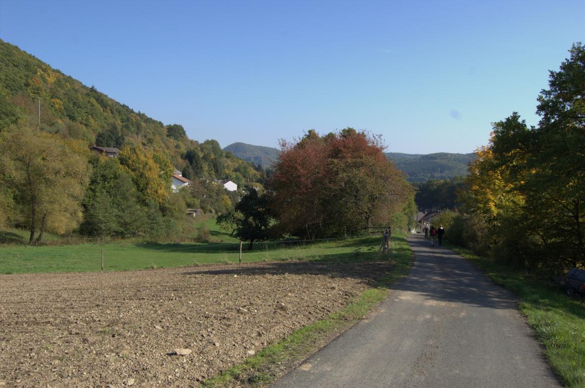 Trübebachtalpfad Trübebachtalpfad
