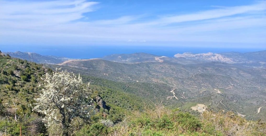 Aussicht auf das Meer