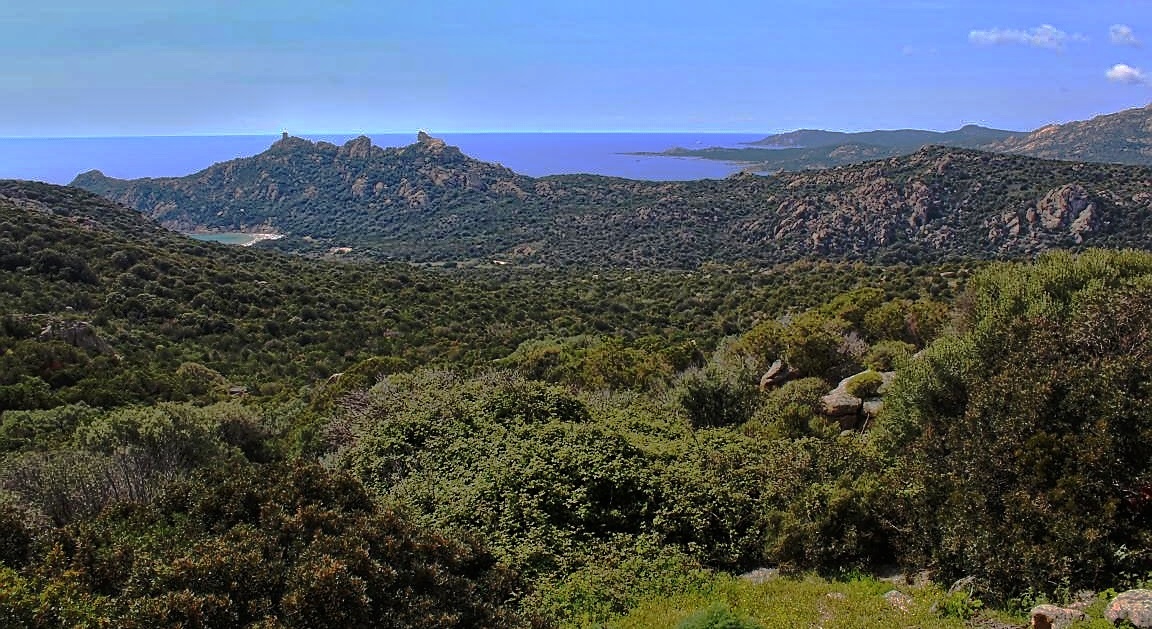 Aussichtspunkt bei Roccapina