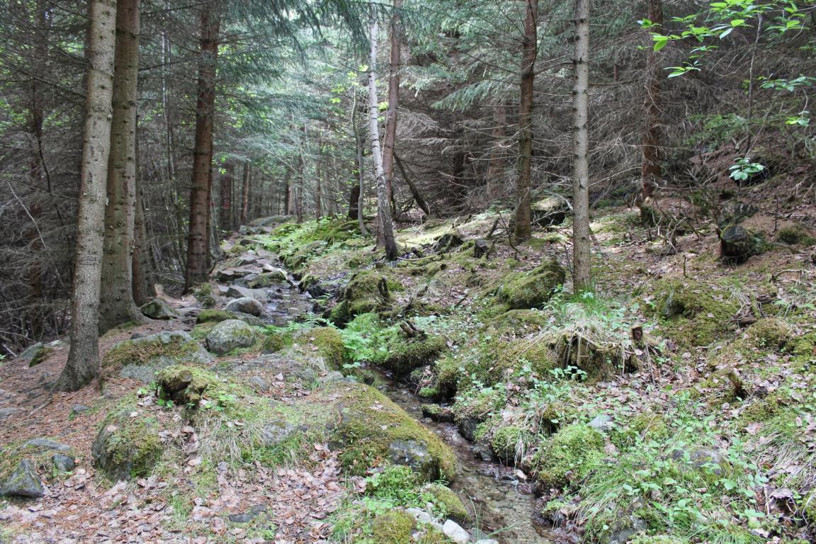 Lom Wanderung Bordvassvegen