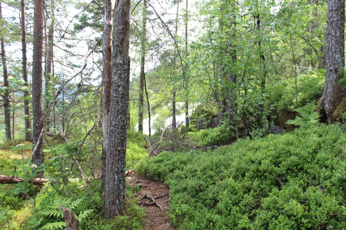 Weg zum Tvindefossen