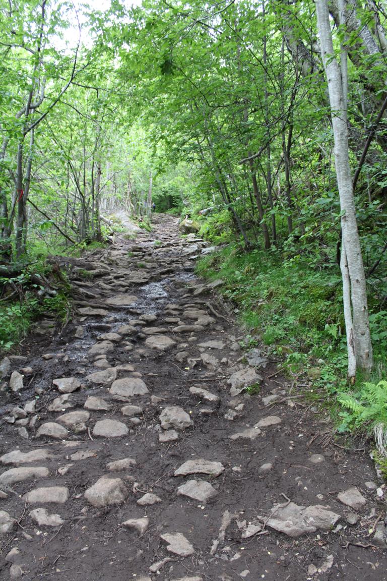 Wandern auf dem Vesteras