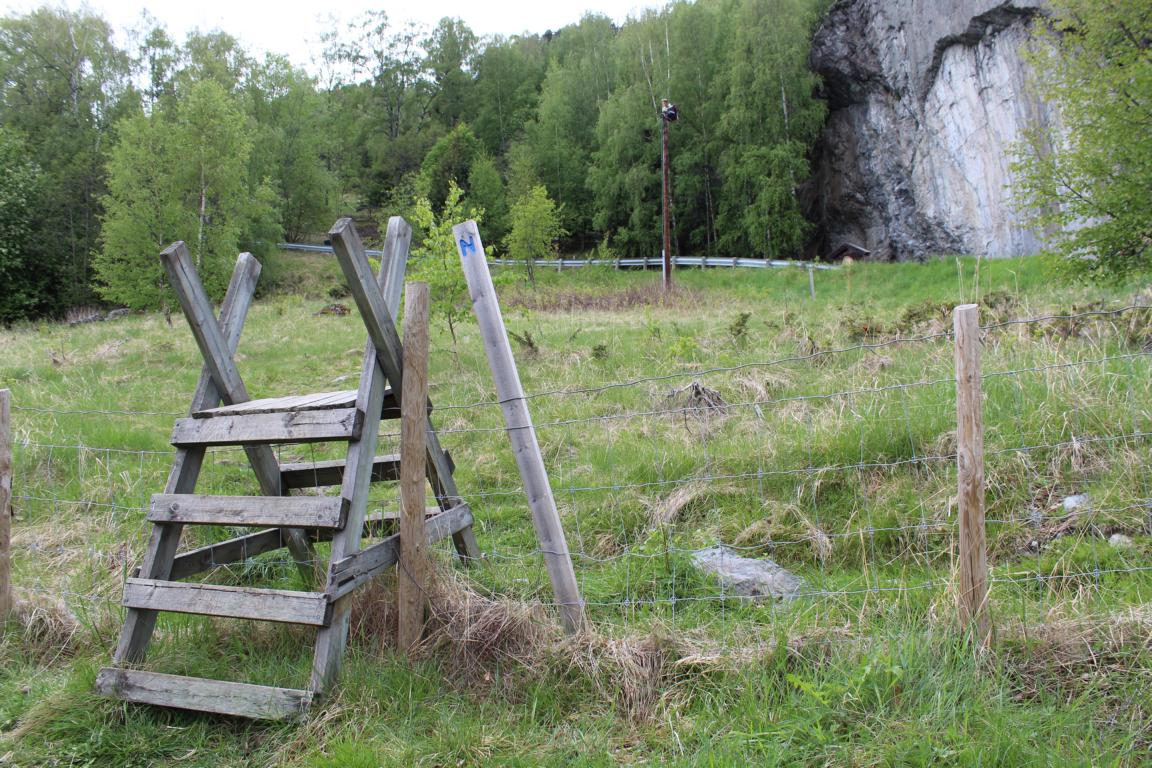 Der Munch Walk führt auch ausserhalb des Ortes