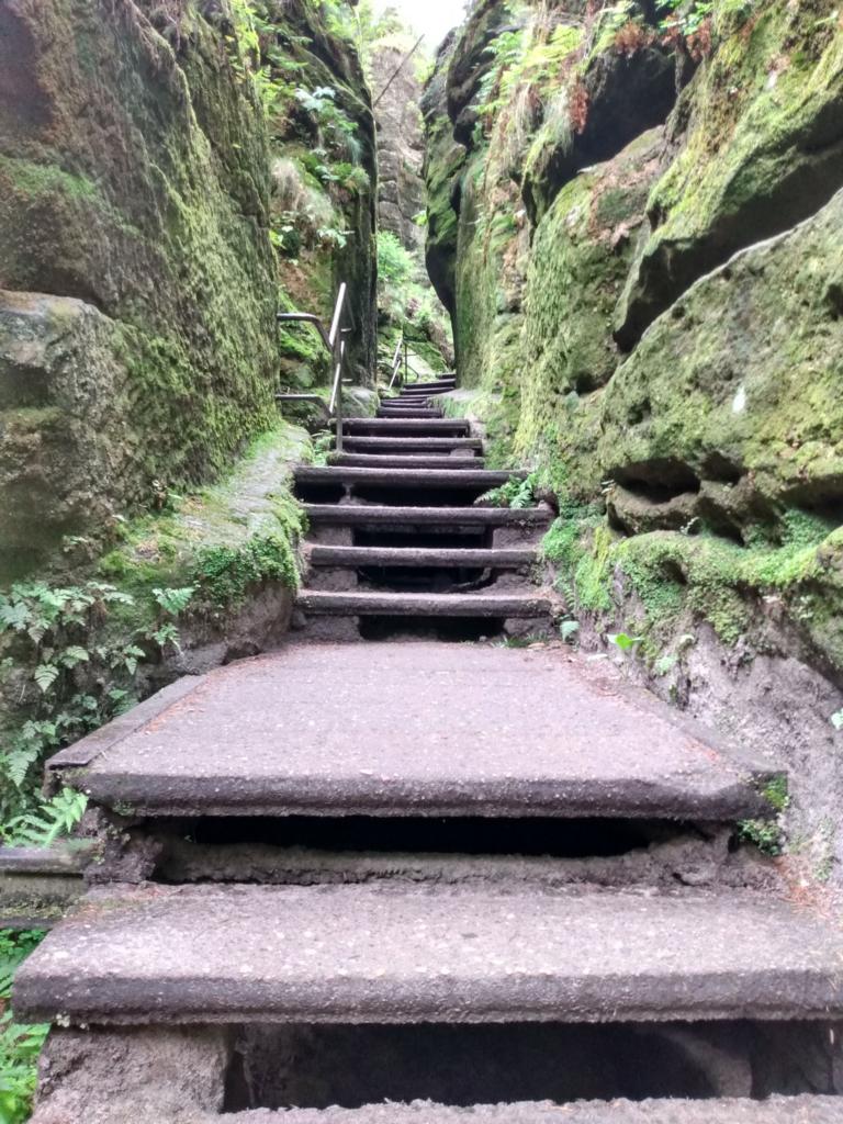 Waldwege zur Bastei Waldwege zur Bastei