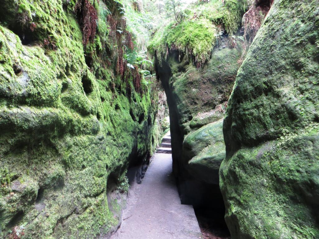 Waldwege zur Bastei Waldwege zur Bastei