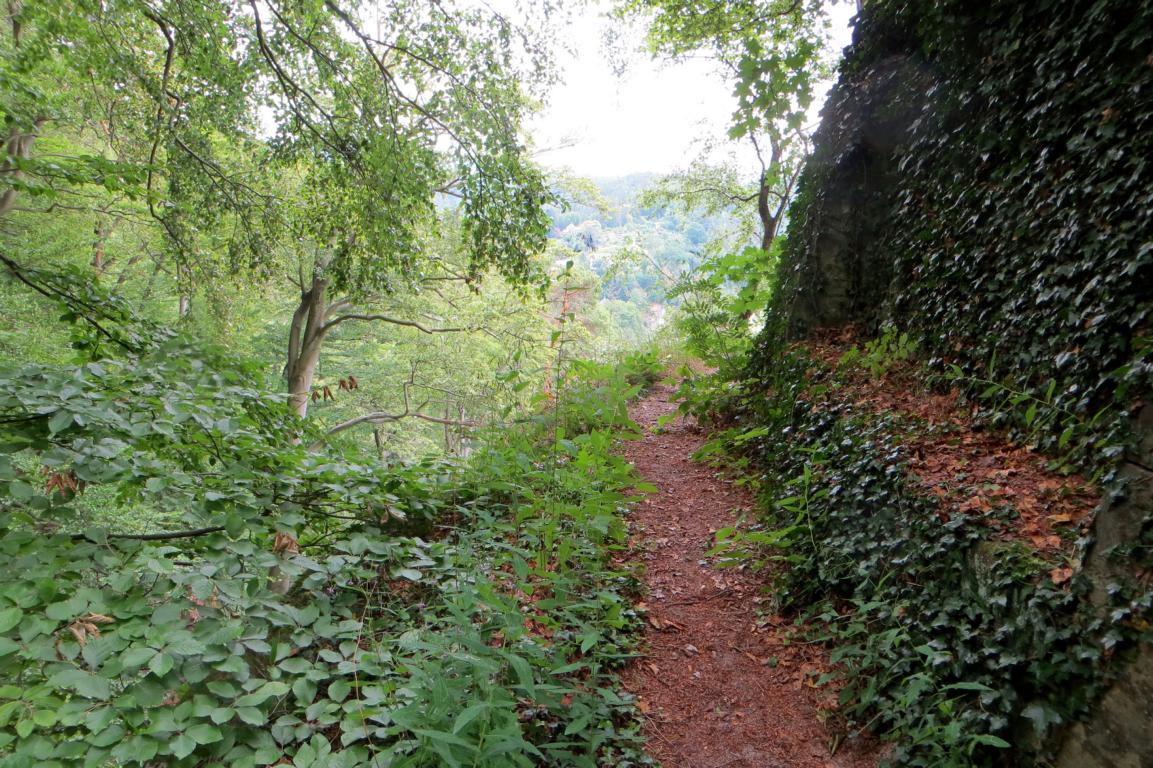 Auf dem Rückweg von der Bastei nach Rathen