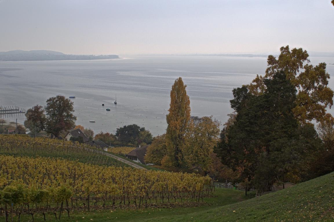 Arenenberg Blick auf den Bodensee