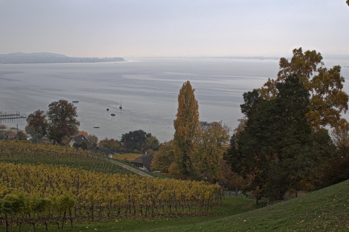 Arenenberg Blick auf den Bodensee