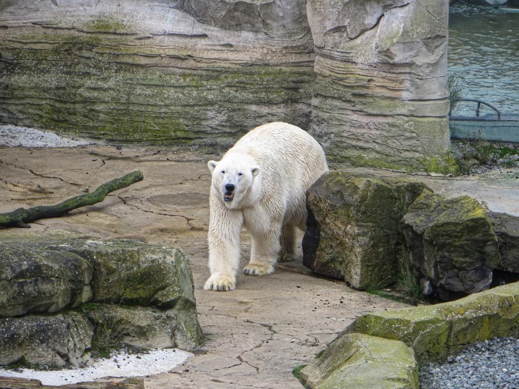 Bremerhaven Zoo am Meer