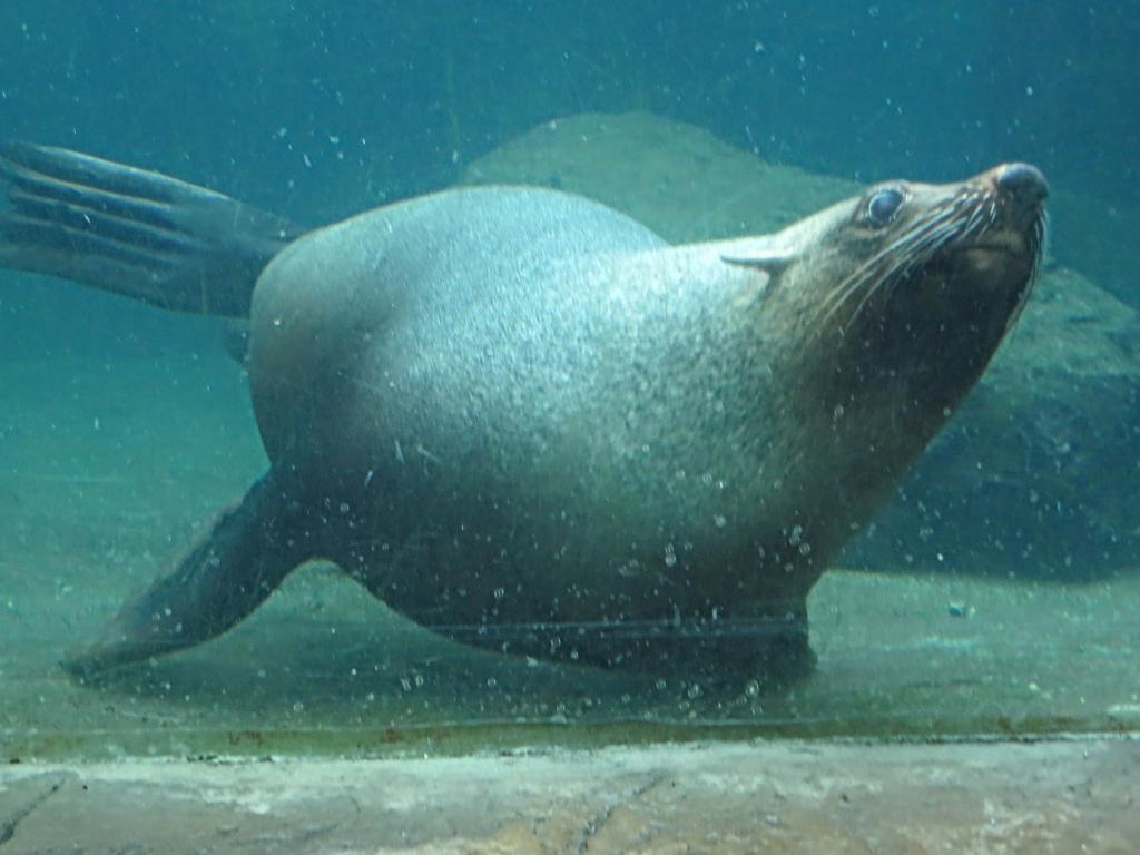 Bremerhaven Zoo am Meer