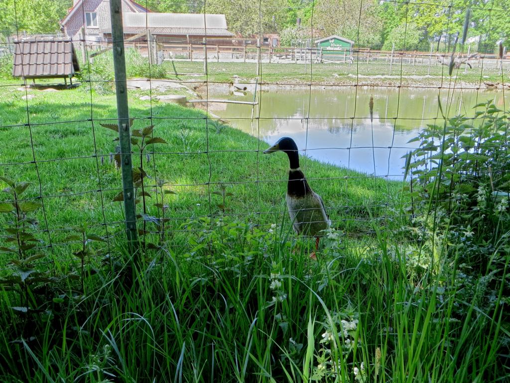 Tierischer Smalltalk Tierischer Smalltalk