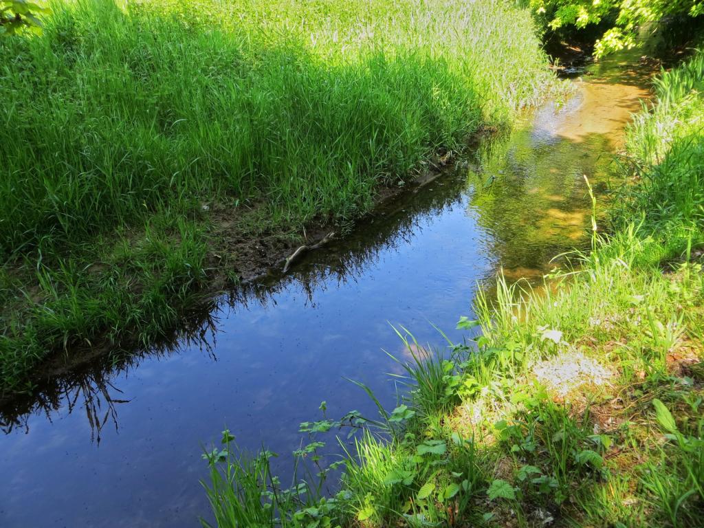 Kleiner Bach am Wegesrand