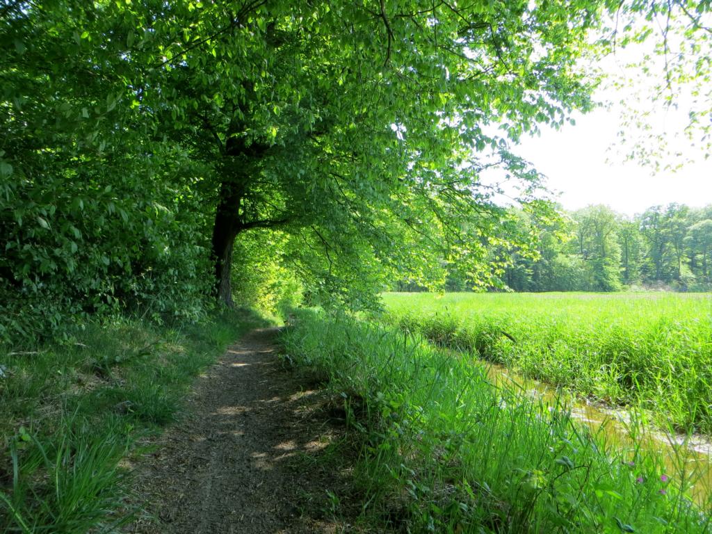 Am Waldrand entlang Am Waldrand entlang