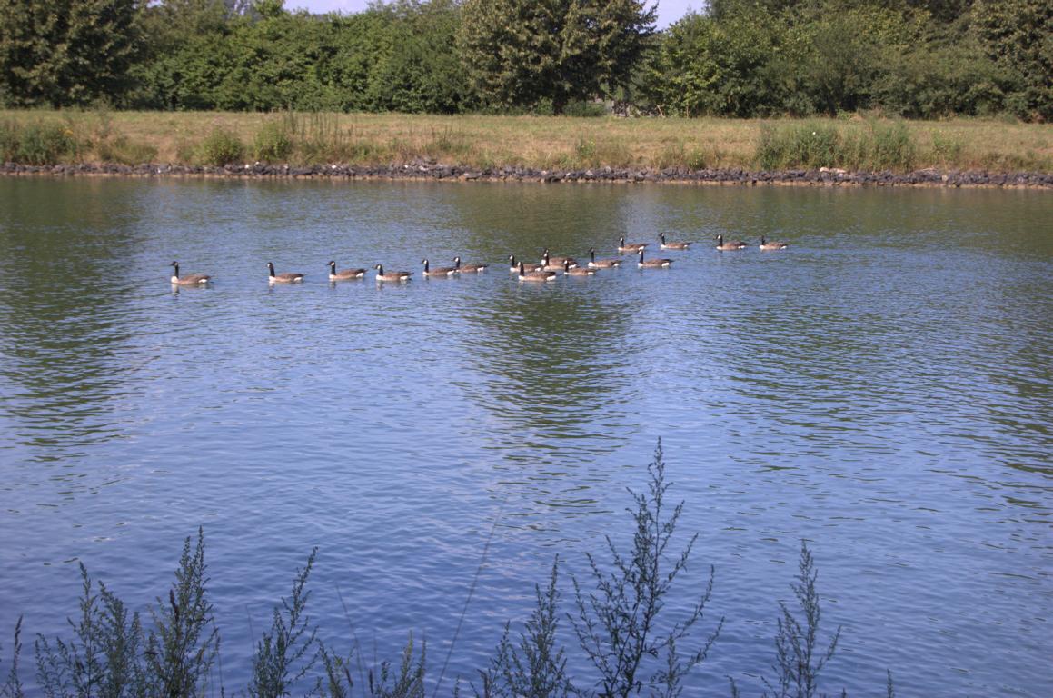 Idylle am Kanal