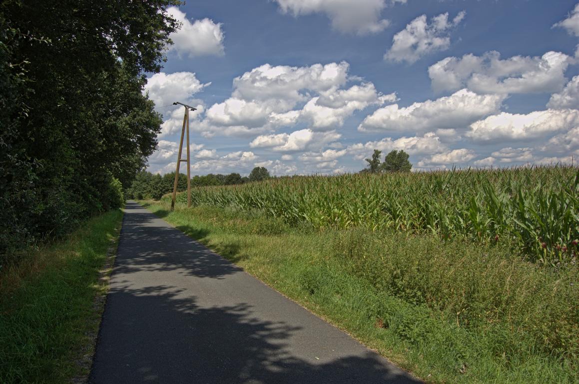 Auf dem Radweg abseits des Kanals Auf dem Radweg abseits des Kanals