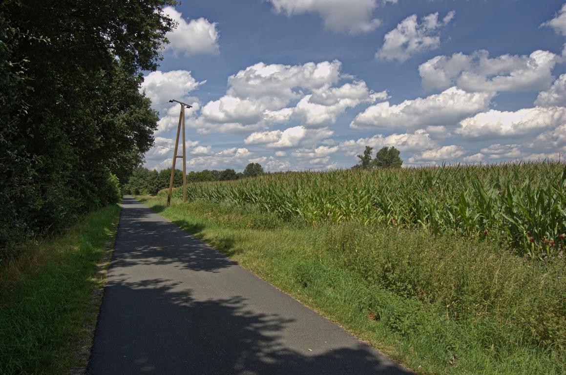 Auf dem Radweg abseits des Kanals