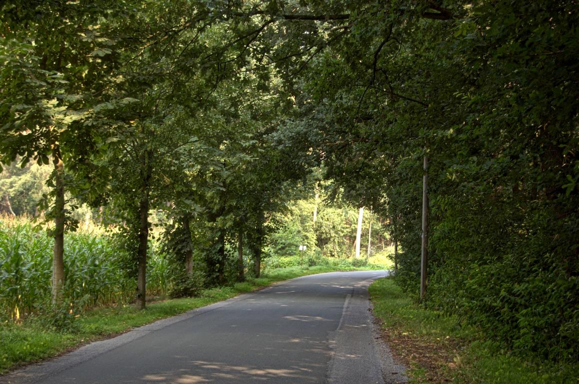 ... also weichen wir auf die Strasse aus