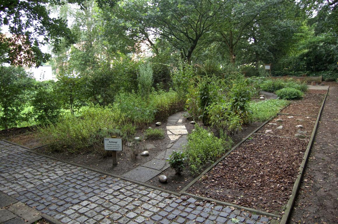 Der Kräutergarten des Meppener Kneipp-Vereins Der Kräutergarten des Meppener Kneipp-Vereins