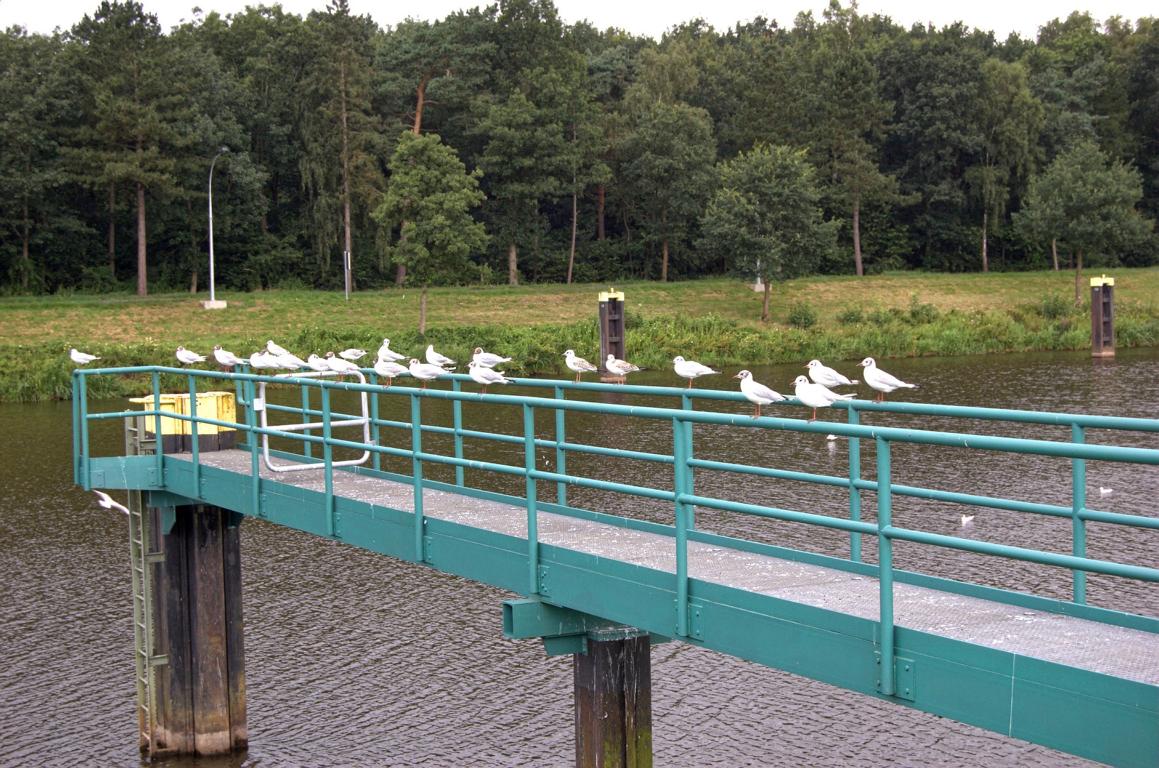 Schleuse bei Hilter Schleuse bei Hilter