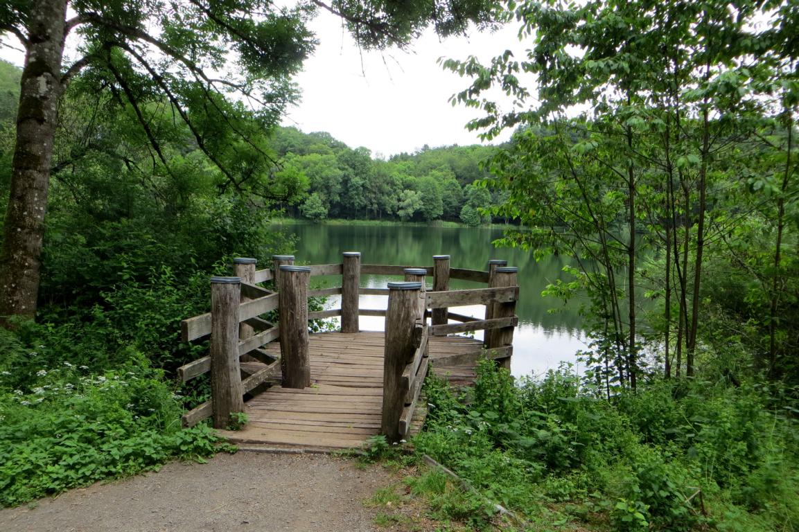 Das Holzmaar bei Eckfeld Das Holzmaar bei Eckfeld