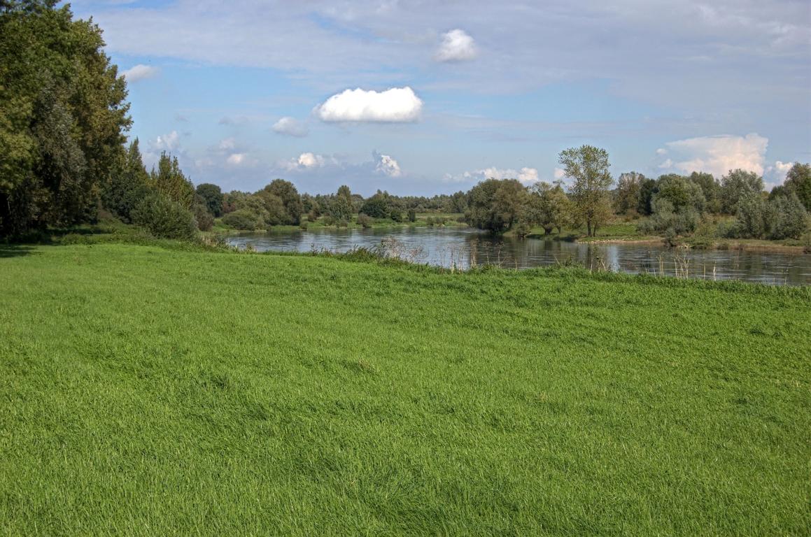 Die Weser unweit der Glashütte