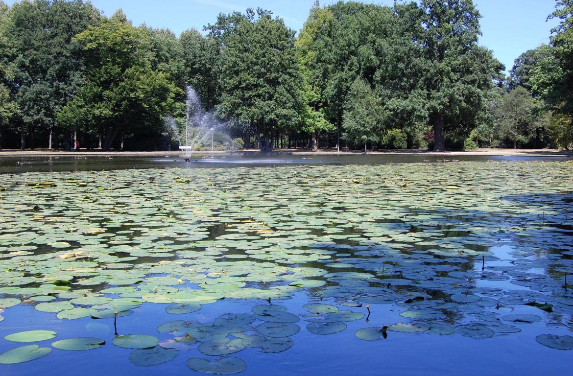 Der französische Garten in Celle