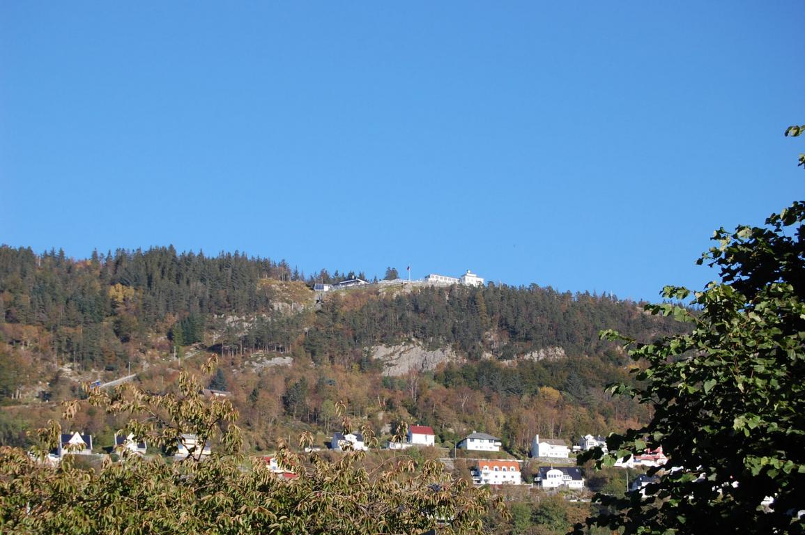 Blick hinauf zum Fløyen