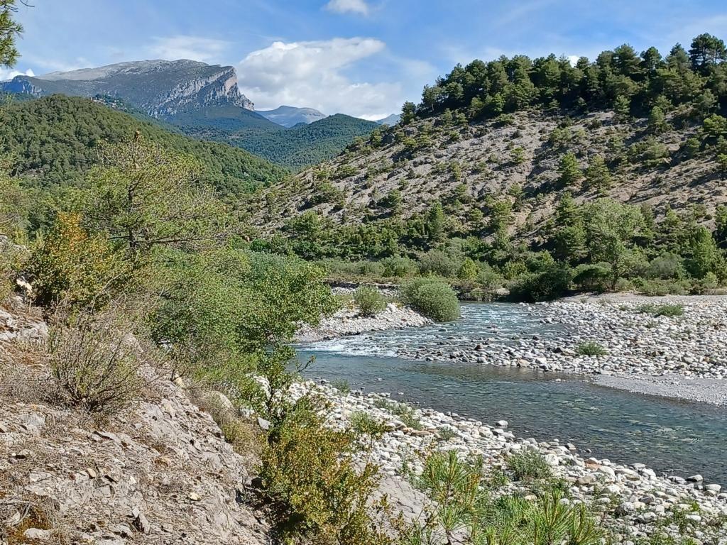 Der Fluss Rio Cinca führt nicht allzu viel Wasser Der Fluss Rio Cinca führt nicht allzu viel Wasser