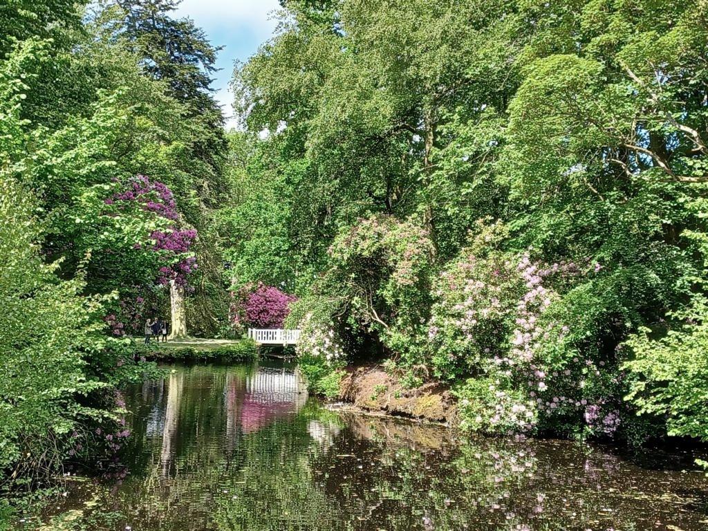 Insel im Schlosspark