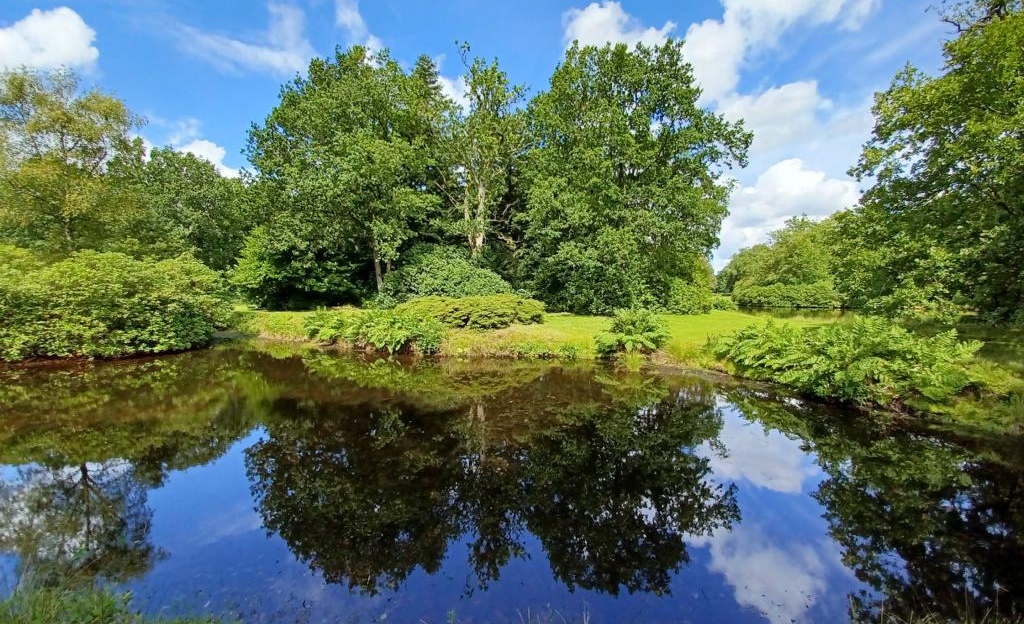 Spaziergang durch den Park