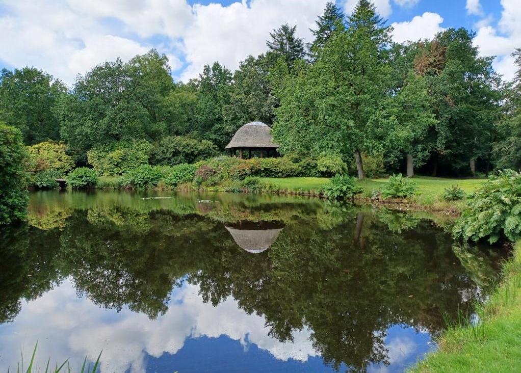 Spaziergang durch den Park