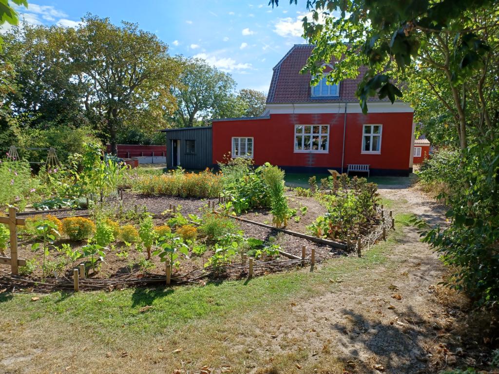 Der Garten mit Blick auf das Haus