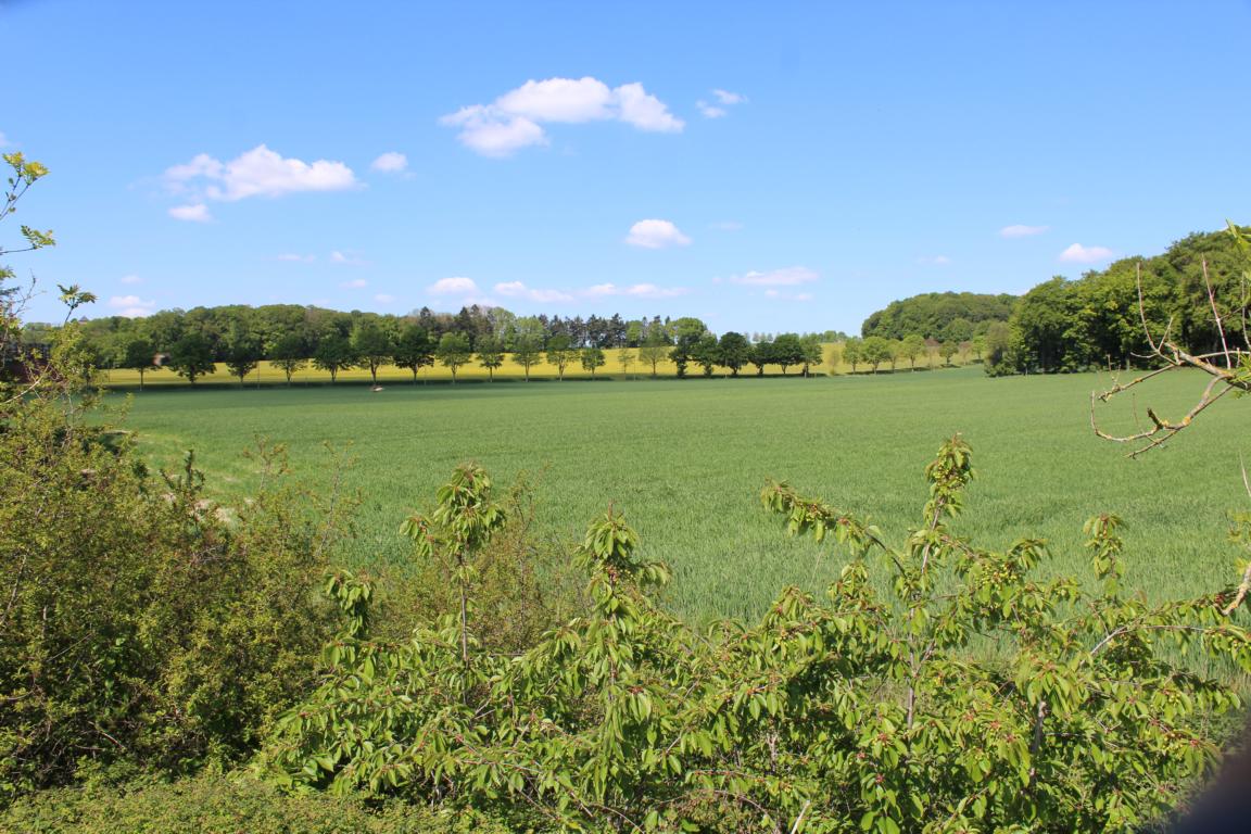 Auf dem Rundwanderweg R14