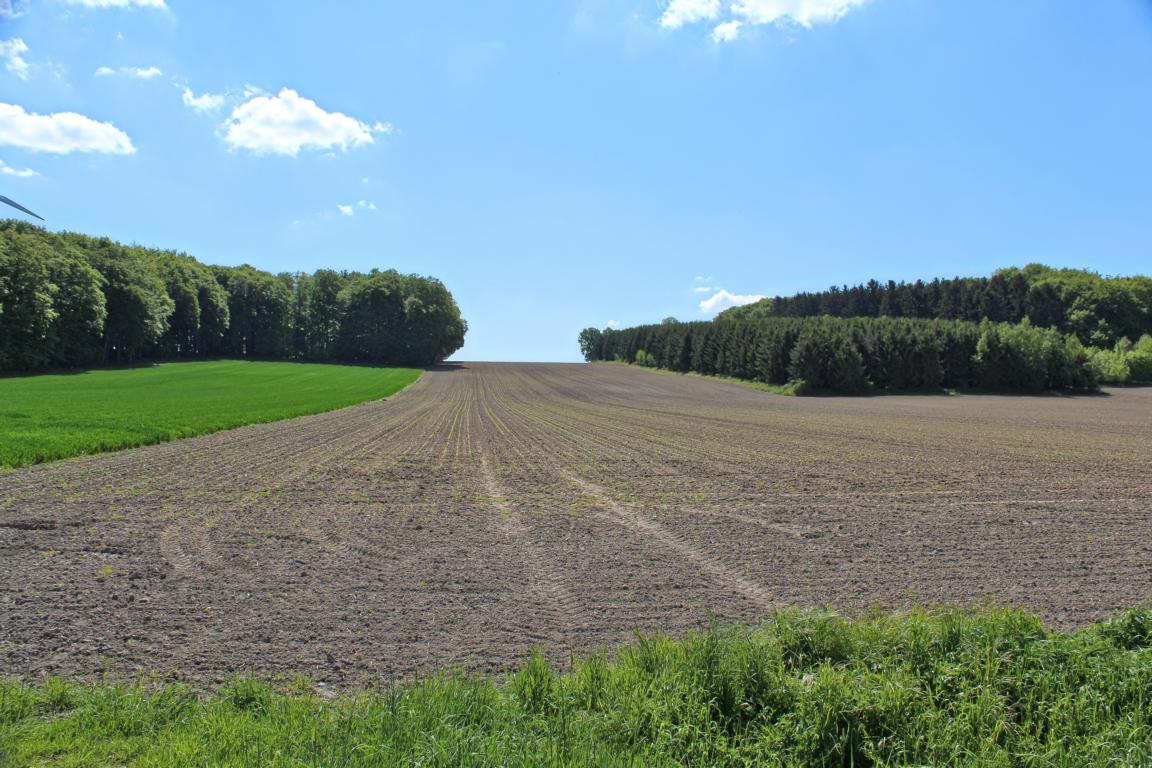 Auf dem Rundwanderweg R14