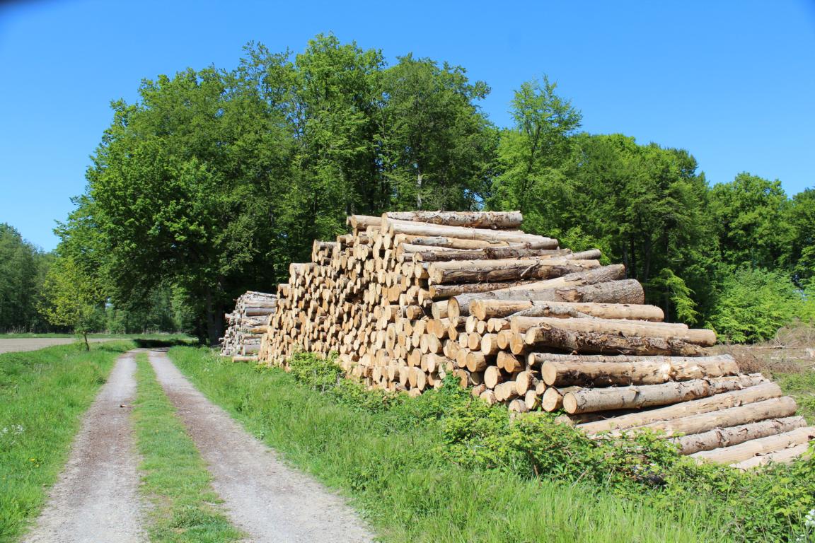 Auf dem Rundwanderweg R14