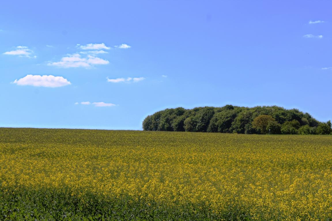 Auf dem Rundwanderweg R14