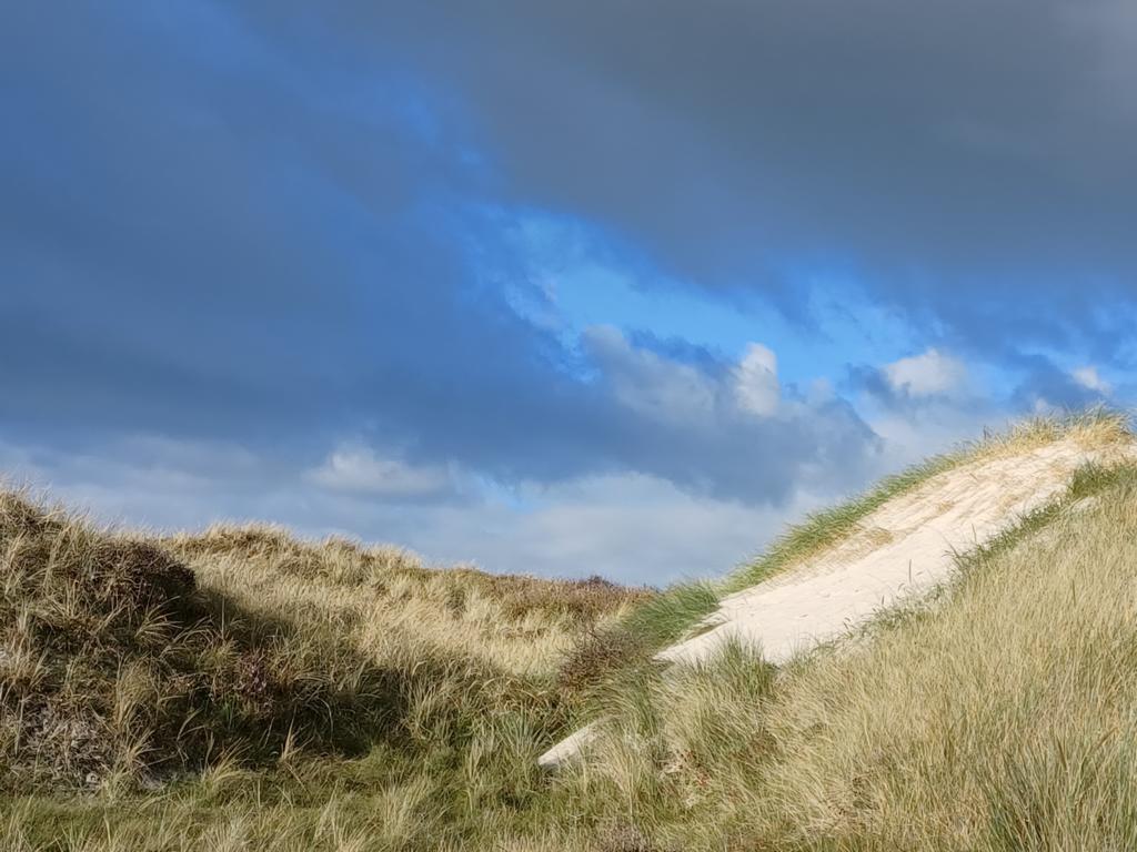 Durch die Dünen zum Strand Durch die Dünen zum Strand