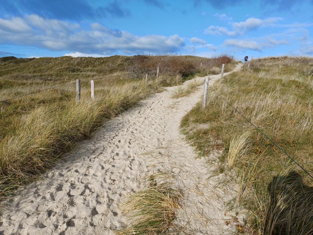 Durch die Dünen zum Strand Durch die Dünen zum Strand